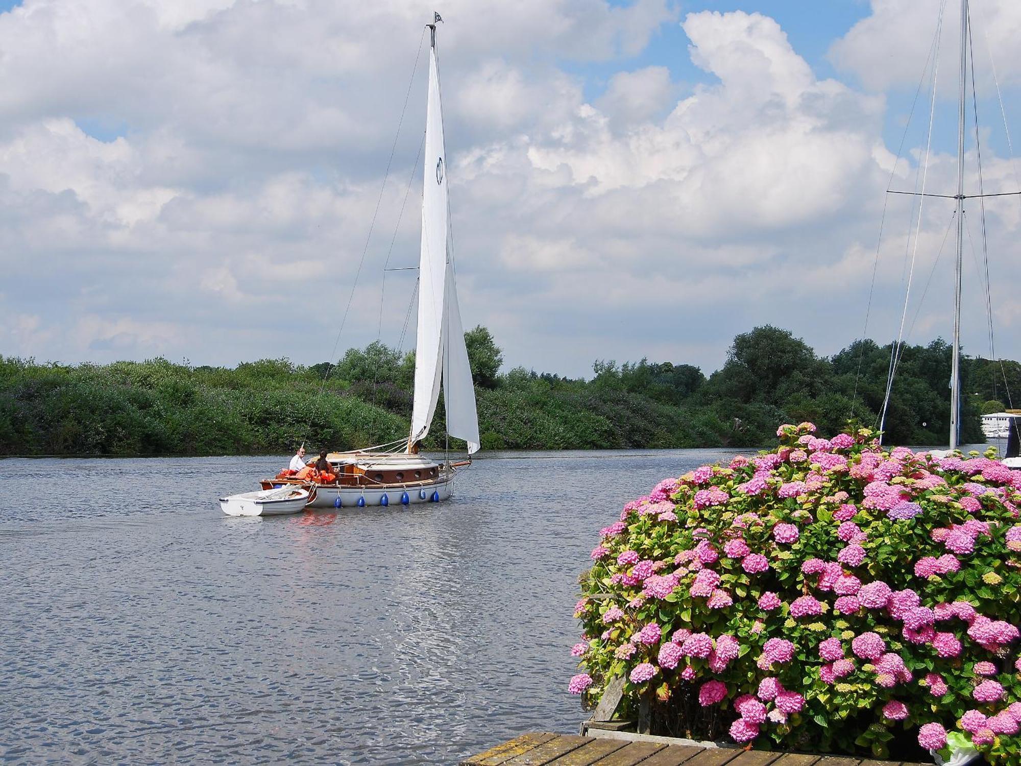 Herons View - 28279 Brundall Bagian luar foto